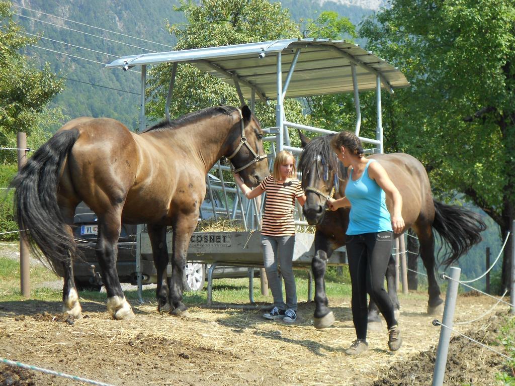 Ferienwohnung Andritsch Sankt Georgen im Gailtal Экстерьер фото