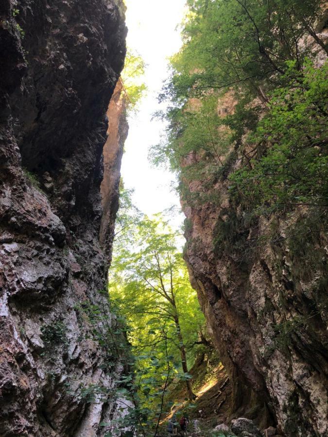 Ferienwohnung Andritsch Sankt Georgen im Gailtal Экстерьер фото